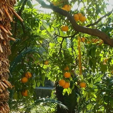 Ivo's Garden Apartment, Near The Old Town Dubrovnik